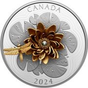 Canada 50 Dollars The Dragonfly and the Bloom 2024 CANADA 2024 RP coin reverse