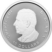Canada 10 Dollars Canada Goose 2025 CHARLES III D G REX 10 DOLLARS SR coin obverse Canada 10 Dollars Canada Goose 2025 CHARLES III D G REX 10 DOLLARS SR coin obverse