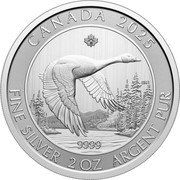 Canada 10 Dollars Canada Goose 2025 CANADA 2025 9999 FINE SILVER 2 OZ ARGENT PUR SH 25 coin reverse Canada 10 Dollars Canada Goose 2025 CANADA 2025 9999 FINE SILVER 2 OZ ARGENT PUR SH 25 coin reverse