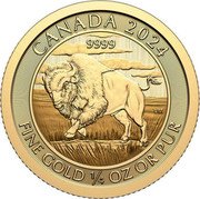 Canada 10 Dollars (Charles III. Bison) CANADA 2024 9999 FINE GOLD 1/4 OZ OR PUR VM coin reverse