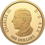 Canada 100 Dollars 80th Anniversary of the End of the Second World War in Europe 2025 CHARLES III D G REX 100 DOLLARS SR coin obverse Canada 100 Dollars 80th Anniversary of the End of the Second World War in Europe 2025 CHARLES III D G REX 100 DOLLARS SR coin obverse
