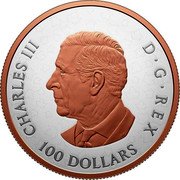 Canada 100 Dollars Gleaming Maple Leaves 2025 CHARLES III D G REX 100 DOLLARS SR coin obverse Canada 100 Dollars Gleaming Maple Leaves 2025 CHARLES III D G REX 100 DOLLARS SR coin obverse