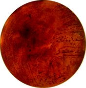 Mexico 100 Pesos (Pattern. Morelos. Uniface Type 1) coin reverse Mexico 100 Pesos (Pattern. Morelos. Uniface Type 1) coin reverse