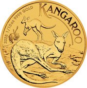 Australia 15 Dollars Australian Kangaroo. On the Ground 2025 2025 1/10 OZ 9999 GOLD P KANGAROO NH coin reverse