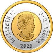 Canada 2 Dollars (Bear. Colored) ELIZABETH II D G REGINA SB 2020 coin obverse Canada 2 Dollars (Bear. Colored) ELIZABETH II D G REGINA SB 2020 coin obverse