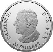 Canada 20 Dollars 80th Anniversary of the End of the Second World War in Europe 2025 CHARLES III D G REX 20 DOLLARS SR coin obverse Canada 20 Dollars 80th Anniversary of the End of the Second World War in Europe 2025 CHARLES III D G REX 20 DOLLARS SR coin obverse