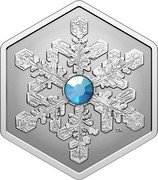 Canada 20 Dollars Stellar Dendrite Snowflake 2024  Reverse Proof DK coin reverse