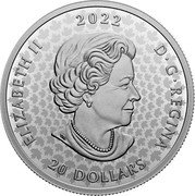 Canada 20 Dollars (The Underground Railroad) ELIZABETH II D G REGINA 2022 20 DOLLARS SB coin obverse Canada 20 Dollars (The Underground Railroad) ELIZABETH II D G REGINA 2022 20 DOLLARS SB coin obverse