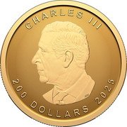 Canada 200 Dollars (Maple Leaf Premium Bullion) CHARLES III 200 DOLLARS 2025 SR coin obverse Canada 200 Dollars (Maple Leaf Premium Bullion) CHARLES III 200 DOLLARS 2025 SR coin obverse