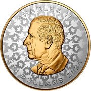 Canada 250 Dollars (Super Incuse Maple Leaf) CHARLES III 250 DOLLARS 2024 SR coin obverse Canada 250 Dollars (Super Incuse Maple Leaf) CHARLES III 250 DOLLARS 2024 SR coin obverse