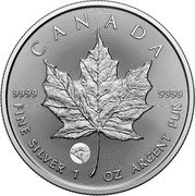 Canada 5 Dollars Maple Leaf. Polar Bears Privy Mark 2025 CANADA 9999 9999 FINE SILVER 1 OZ ARGENT PUR coin reverse Canada 5 Dollars Maple Leaf. Polar Bears Privy Mark 2025 CANADA 9999 9999 FINE SILVER 1 OZ ARGENT PUR coin reverse