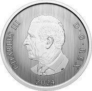 Canada 50 Cents Trimming the Holiday Tree 2024  Specimen CHARLES III D G REX 2024 SR coin obverse Canada 50 Cents Trimming the Holiday Tree 2024  Specimen CHARLES III D G REX 2024 SR coin obverse