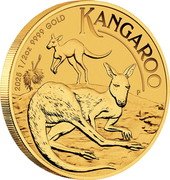 Australia 50 Dollars (Australian Kangaroo. On the Ground) 2025 1/2 OZ 9999 GOLD P KANGAROO NH coin reverse Australia 50 Dollars (Australian Kangaroo. On the Ground) 2025 1/2 OZ 9999 GOLD P KANGAROO NH coin reverse