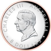 Australia 8 Dollars Australian Koala. Rose Gilded 2024 P125 CHARLES III AUSTRALIA 8 DOLLARS DT coin obverse Australia 8 Dollars Australian Koala. Rose Gilded 2024 P125 CHARLES III AUSTRALIA 8 DOLLARS DT coin obverse