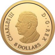 Canada 8 Dollars Water Dragon 2025 SR CHARLES III D G REX 8 DOLLARS coin obverse Canada 8 Dollars Water Dragon 2025 SR CHARLES III D G REX 8 DOLLARS coin obverse