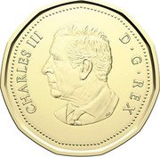 Canada Dollar Beaver. Peace and Joy 2024  Brilliant Uncirculated CHARLES III D G REX SR coin obverse Canada Dollar Beaver. Peace and Joy 2024  Brilliant Uncirculated CHARLES III D G REX SR coin obverse