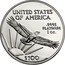 USA $100 American Eagle 2017 KM# 286 UNITED STATES OF AMERICA .9995 PLATINUM 1 OZ. W $100 TDR coin reverse