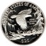 USA $25 American Eagle 1999 W KM# 302 UNITED STATES OF AMERICA .9995 PLATINUM 1/4 OZ. $25 coin reverse