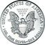 USA Dollar Eagle 2019 KM# 273 ∙ UNITED STATES OF AMERICA ∙ 1OZ. FINE SILVER ~ ONE DOLLAR ∙ E PLURIBUS UNUM coin reverse
