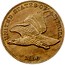 USA Cent Flying Eagle 1856 KM# 85 UNITED STATES OF AMERICA coin obverse