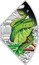Tuvalu 1 Dollar (Year of the Snake Quadrant. Green) LB P coin reverse