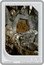 Niue Two Dollars (The Lord of the Rings. Mines of Moria) XX/30 1 OZ 999 FINE SILVER © & TM NEW LINE PRODUCTION INC. (S24) coin reverse