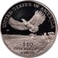 USA $10 American Eagle 2000 W KM# 314 UNITED STATES OF AMERICA .9995 PLATINUM 1/10 OZ. $10 coin reverse