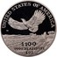 USA $100 American Eagle 2000 W KM# 317 UNITED STATES OF AMERICA .9995 PLATINUM 1 OZ $100 W coin reverse