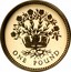 UK One Pound Northern Irish Flax 1991 Proof KM# 946 ONE POUND coin reverse