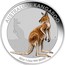 Australia 50 Cents Australian Kangaroo (Colorized) 2016 AUSTRALIAN KANGAROO 2016 1/2 OZ 999 SILVER P IJ coin reverse