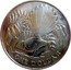 New Zealand One Dollar Fantail Bird 1980 (l) KM# 49 ONE DOLLAR JB coin reverse