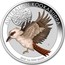 Australia 1 Dollar Colorized Kookaburra 2018 AUSTRALIAN KOOKABURRA 2018 1 OZ 9999 SILVER P coin reverse