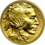 USA $10 Buffalo 2008 W KM# 412 LIBERTY W 2008 coin obverse