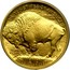 USA $10 Buffalo 2008 W KM# 412 UNITED STATES OF AMERICA E PLURIBUS UNUM $10 1/4 OZ. .9999 FINE GOLD IN GOD WE TRUST coin reverse