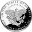 USA $100 American Eagle 2005 W Proof KM# 380 UNITED STATES OF AMERICA W DW $100 .9995 PLATINUM 1 OZ. coin reverse