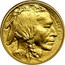 USA $25 American Buffalo 2008 W KM# 413 LIBERTY W 2008 coin obverse