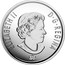 Canada 25 Cents Hope for a Green Future 2017 ELIZABETH II D ∙ G ∙ REGINA SB coin obverse