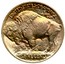 USA Five Cents Buffalo Nickel 1913 KM# 133 E PLURIBUS UNUM UNITED STATES OF AMERICA FIVE CENTS coin reverse