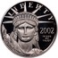USA $10 American Eagle 2002 W Proof KM# 339 LIBERTY 2002 IN GOD WE TRUST E PLURIBUS UNUM coin obverse