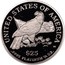 USA $25 American Eagle 2003 W Proof KM# 352 UNITED STATES OF AMERICA .9995 PLATINUM 1/4 OZ. W $25 coin reverse