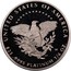 USA $25 American Eagle 2005 W Proof KM# 378 UNITED STATES OF AMERICA $25 .9995 PLATINUM 1/4 OZ. W coin reverse