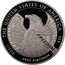 USA $50 American Eagle 2007 W Reverse Proof KM# 416 THE UNITED STATES OF AMERICA 1/2 OZ. .9995 PLATINUM $50 coin reverse