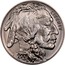 USA One Dollar American Buffalo 2001 D KM# 325 LIBERTY 2001 coin obverse