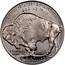 USA One Dollar American Buffalo 2001 D KM# 325 UNITED STATES OF AMERICA IN GOD WE TRUST ONE DOLLAR D E PLURIBUS UNUM coin reverse