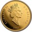 Canada 100 Dollars The Horseless Carriage 1993 Proof KM# 245 ELIZABETH II D ∙ G ∙ REGINA 1993 coin obverse