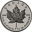 Canada 20 Dollars Elizabeth II 2nd Portrait 1989 KM# 166 CANADA 9995 9995 FINE PLATINUM 1/4 OZ PLATINE PUR coin reverse