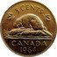 Canada 5 Cents The Beaver 1964 Extra water line KM# 57 5 CENTS K∙G CANADA DATE coin reverse