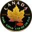 Canada 5 Dollars Maple Leaf hologram 1999 KM# 366 CANADA 9999 9999 FINE GOLD 1/10 OZ OR PUE 20 YEARS ANS coin reverse