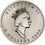 Canada 5 Dollars Maple leaf - Platinum 1994 KM# 192 ELIZABETH II 5 DOLLARS 1993 coin obverse