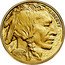 USA $50 American Buffalo 2020 W Proof KM# 393 LIBERTY W coin obverse